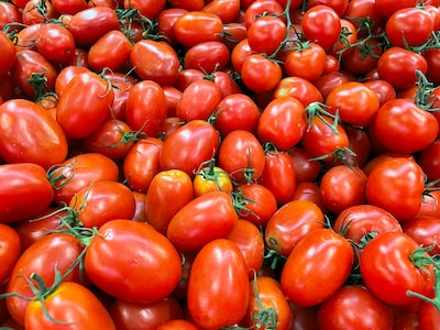 Les informations à connaitre pour réussir la culture de tomates