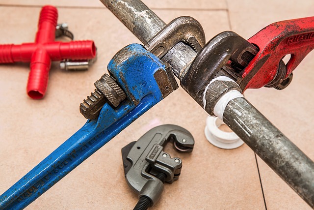 Pourquoi choisir un plombier expert pour vos travaux ?