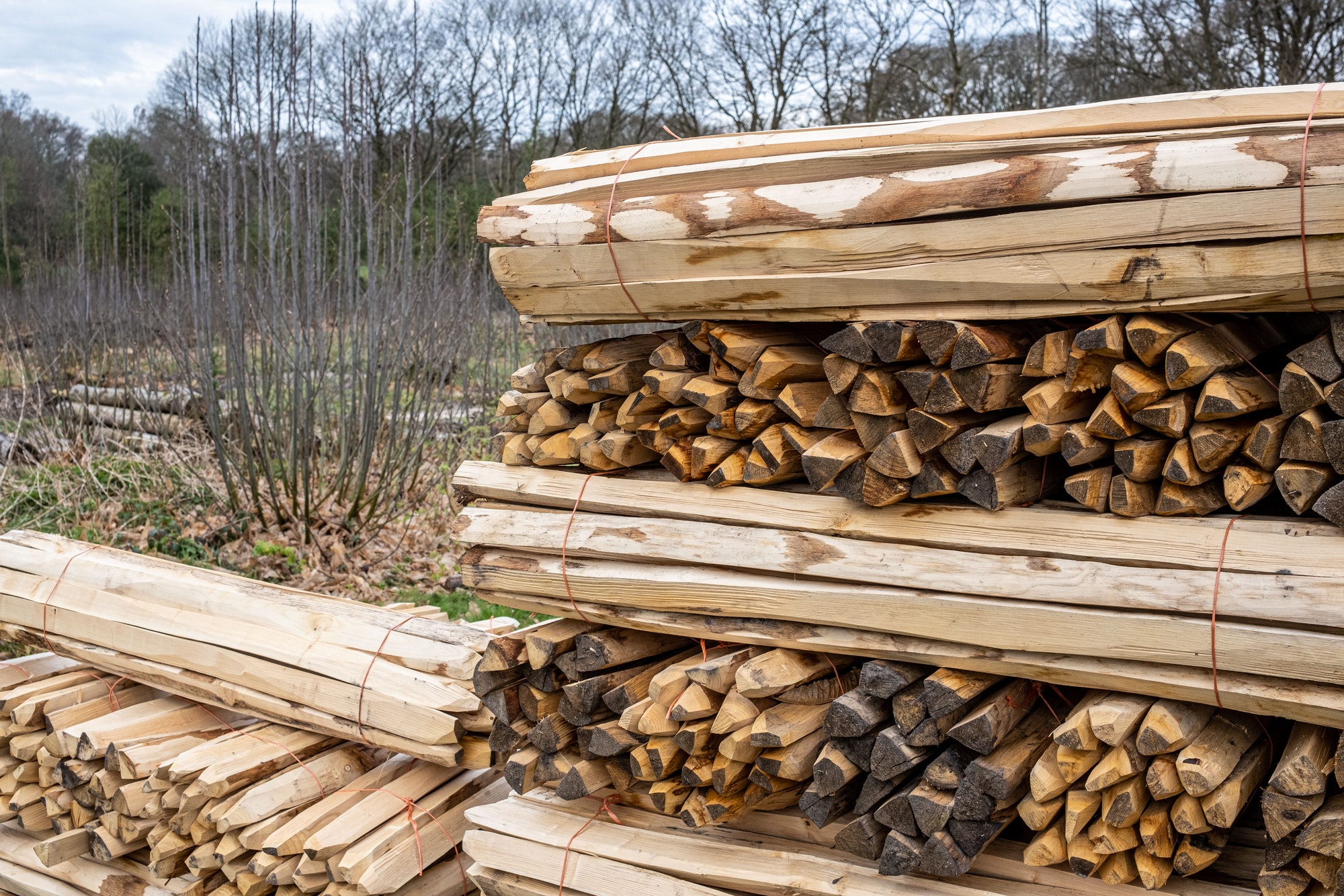 Les piquets en châtaignier : tout sur leurs utilisations et avantages